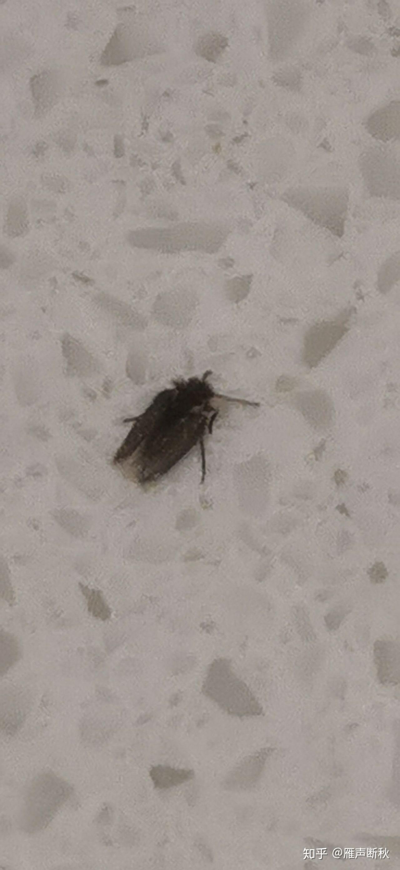 娱乐生活 第80页