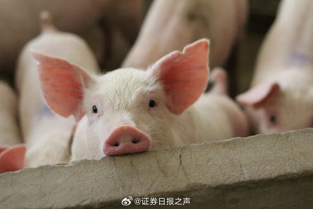 娱乐生活 第68页